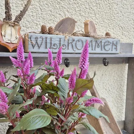 Gaestehaus Wilsickow Bed & Breakfast Uckerland