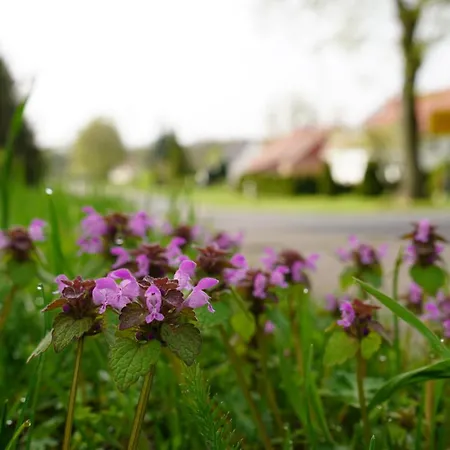 Gaestehaus Wilsickow Bed & Breakfast